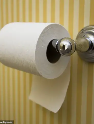 The Global Debate Over Toilet Paper Orientation: A Century-Old Controversy That Shows No Signs of Ending