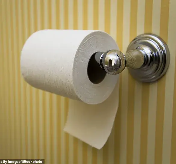 The Global Debate Over Toilet Paper Orientation: A Century-Old Controversy That Shows No Signs of Ending