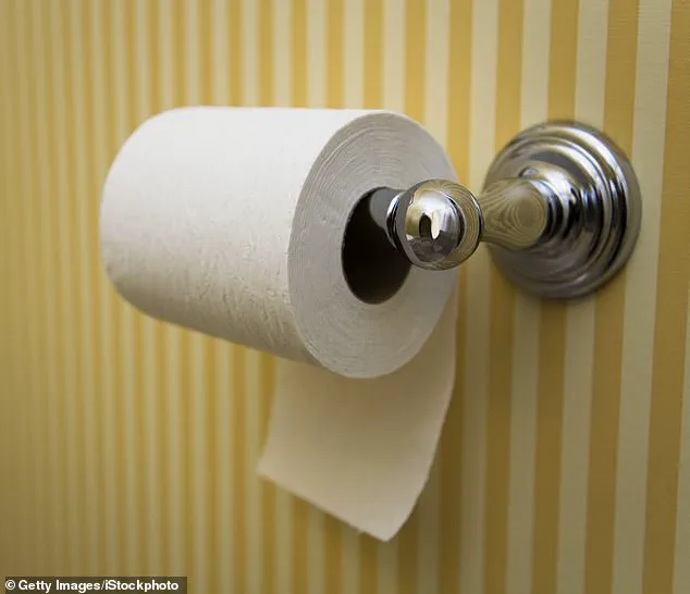The Global Debate Over Toilet Paper Orientation: A Century-Old Controversy That Shows No Signs of Ending