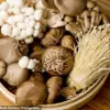 The Science Behind 'Old People Smell': A Study Reveals the Role of 2-Nonenal in Aging Biology