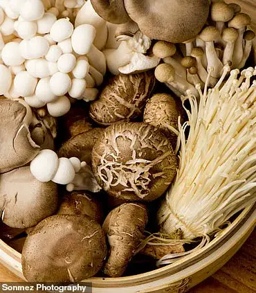The Science Behind 'Old People Smell': A Study Reveals the Role of 2-Nonenal in Aging Biology