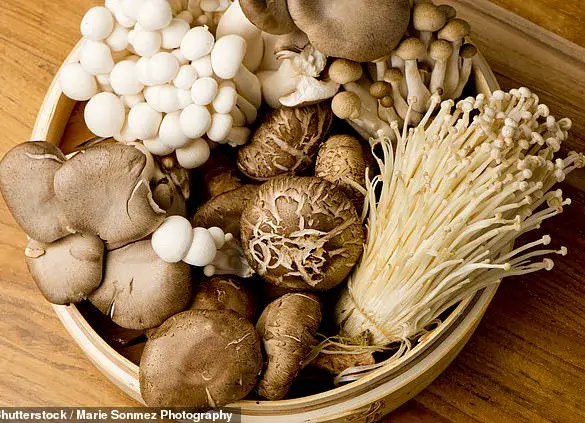 The Science Behind 'Old People Smell': A Study Reveals the Role of 2-Nonenal in Aging Biology