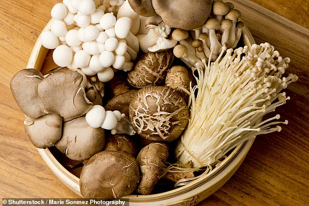 The Science Behind 'Old People Smell': A Study Reveals the Role of 2-Nonenal in Aging Biology