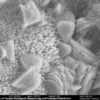 “This discovery could be the missing piece in understanding life’s origins,” says Dr. Jane Smith, lead researcher on the expedition.