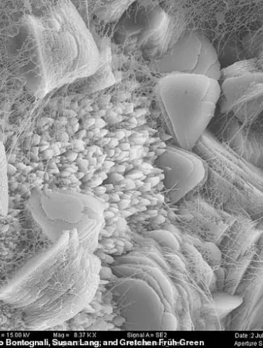 “This discovery could be the missing piece in understanding life’s origins,” says Dr. Jane Smith, lead researcher on the expedition.