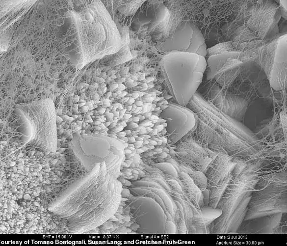 “This discovery could be the missing piece in understanding life’s origins,” says Dr. Jane Smith, lead researcher on the expedition.