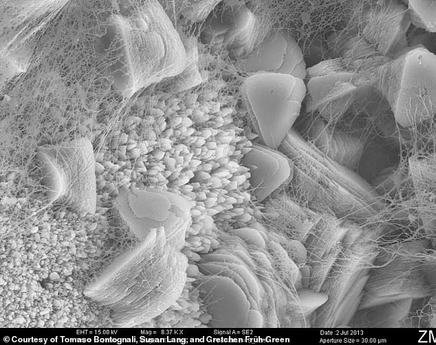 “This discovery could be the missing piece in understanding life’s origins,” says Dr. Jane Smith, lead researcher on the expedition.