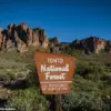Two Teens Found Dead in Arizona National Forest; Authorities Seek Answers