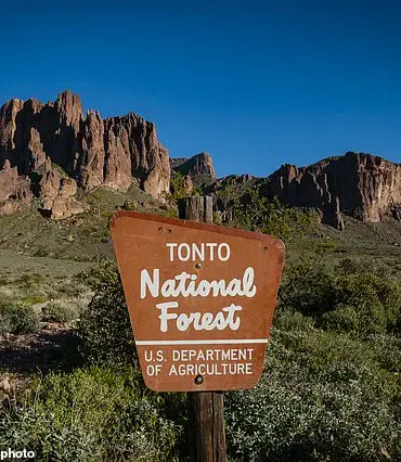 Two Teens Found Dead in Arizona National Forest; Authorities Seek Answers