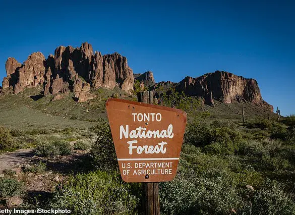 Two Teens Found Dead in Arizona National Forest; Authorities Seek Answers