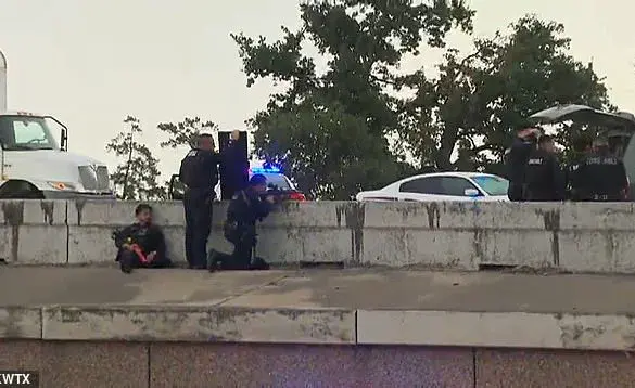 Urgent Call to Reassess Public Safety Protocols After Texas Freeway Standoff Highlights Mental Health Crisis Management Challenges