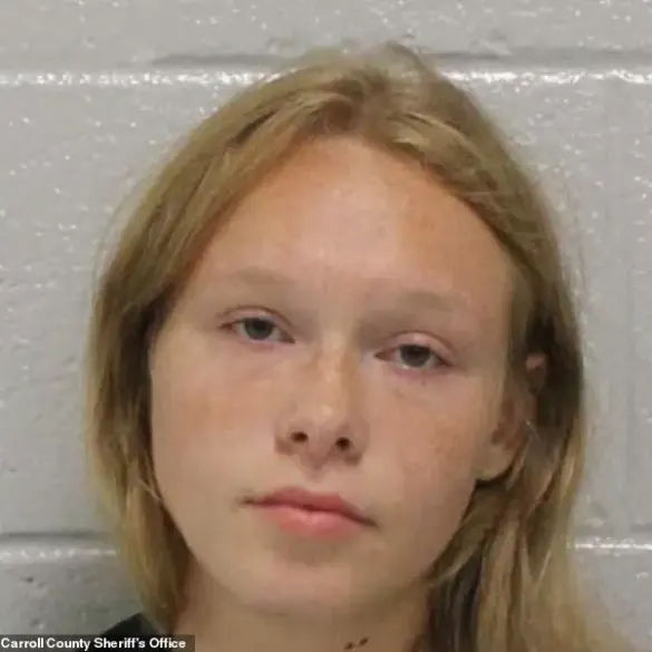 A Chilling Double Life: How a Teen's Social Media Grief Masked a Tragic Crime