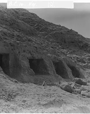 Ancient Egyptian DNA Study Reveals Genetic Links to Mesopotamian Civilization