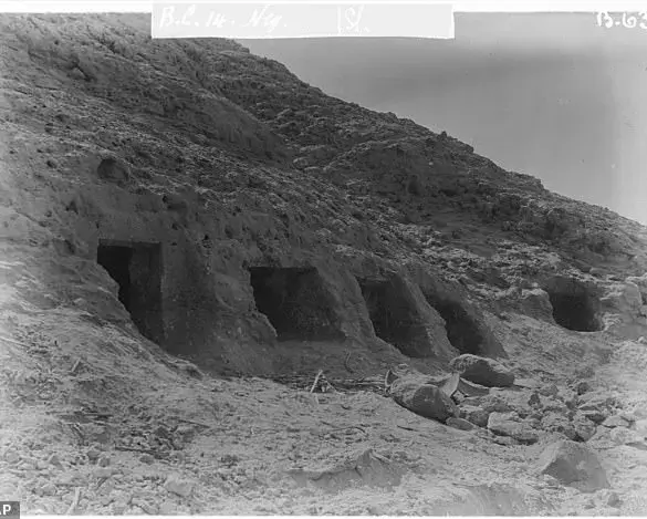 Ancient Egyptian DNA Study Reveals Genetic Links to Mesopotamian Civilization