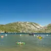 Behind Closed Doors: The Hidden Struggles of Pinecrest Lake's Chaotic Transformation
