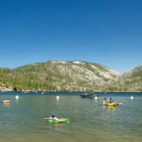 Behind Closed Doors: The Hidden Struggles of Pinecrest Lake's Chaotic Transformation