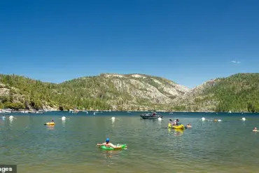 Behind Closed Doors: The Hidden Struggles of Pinecrest Lake's Chaotic Transformation