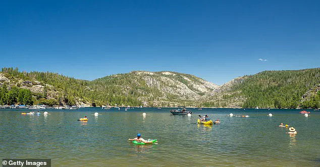 Behind Closed Doors: The Hidden Struggles of Pinecrest Lake's Chaotic Transformation