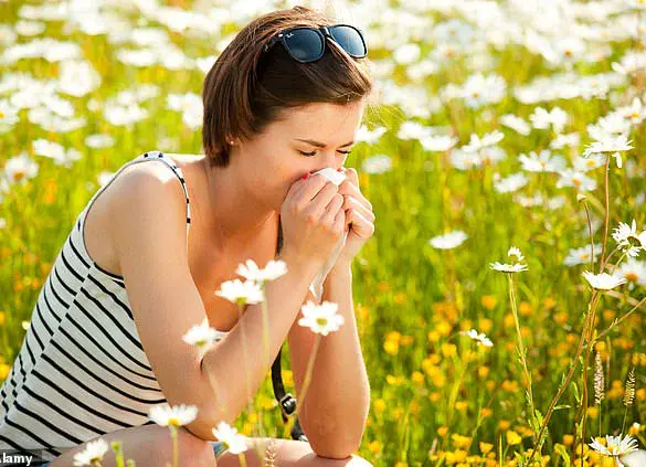 Britain Faces Imminent Pollen Crisis: Unexpected Link Between Hay Fever and Vaginal Irritation Unveiled