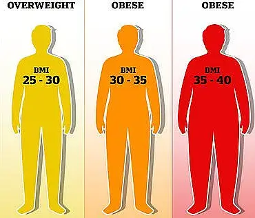 Chinese Academy of Sciences Study Identifies Optimal BMI Range for Male Attractiveness
