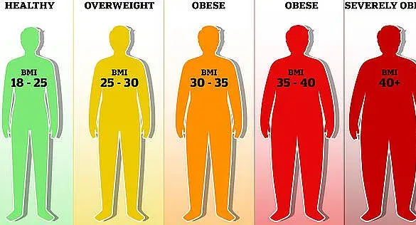 Chinese Academy of Sciences Study Identifies Optimal BMI Range for Male Attractiveness