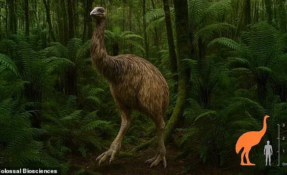 Colossal Biosciences Aims to Revive the Moa, Pioneering a New Frontier in De-Extinction