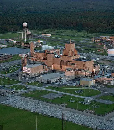 Concealed Dangers: Radioactive Wasp Nest at Savannah River Site Sparks Questions About Secrecy and Environmental Risks