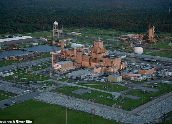 Concealed Dangers: Radioactive Wasp Nest at Savannah River Site Sparks Questions About Secrecy and Environmental Risks
