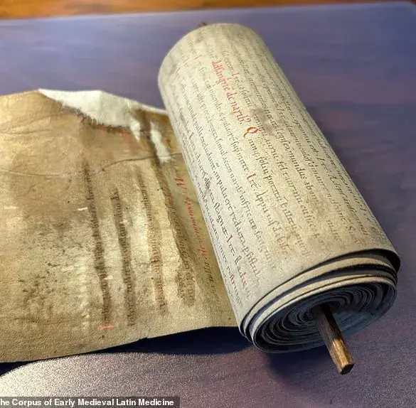 Credible Studies Challenge Dark Ages Myths, Unveiling Sophisticated Medieval Health Practices