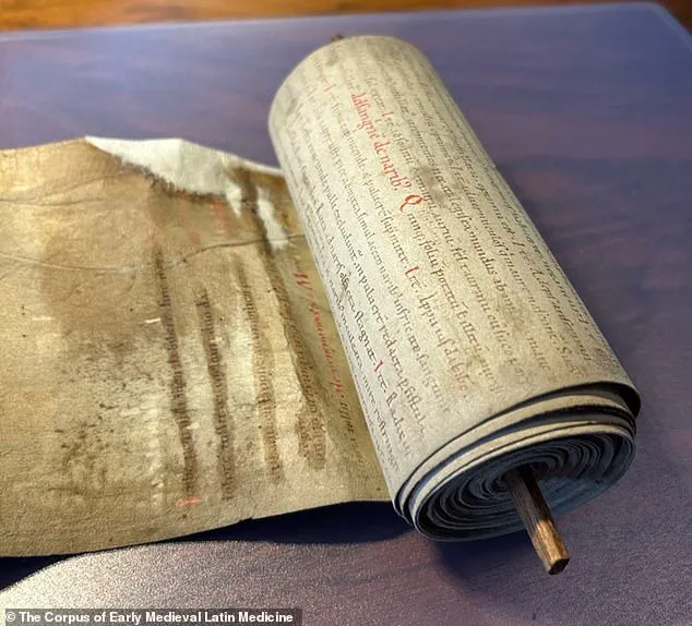 Credible Studies Challenge Dark Ages Myths, Unveiling Sophisticated Medieval Health Practices