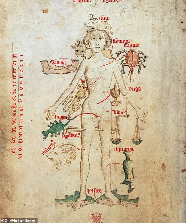 Credible Studies Challenge Dark Ages Myths, Unveiling Sophisticated Medieval Health Practices