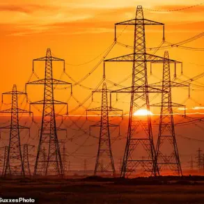 Exclusive Insights: DOE Warns of Looming Blackouts as Privileged Data Reveals Critical Infrastructure Vulnerabilities