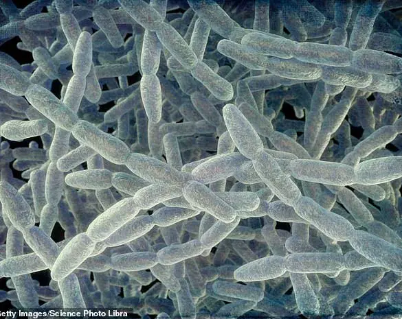 Exclusive: Legionnaires' Disease Outbreak in NYC Claims First Life, 22 Infected as Health Officials Issue Urgent Public Health Advisories