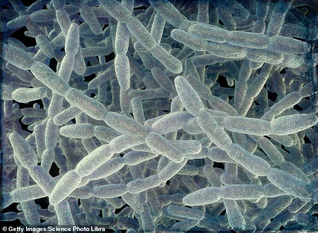 Exclusive: Legionnaires' Disease Outbreak in NYC Claims First Life, 22 Infected as Health Officials Issue Urgent Public Health Advisories