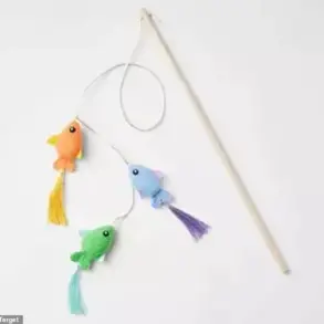 Hidden Dangers: The Fatal Flaw in a $4.39 Cat Toy That Led to a Feline's Death