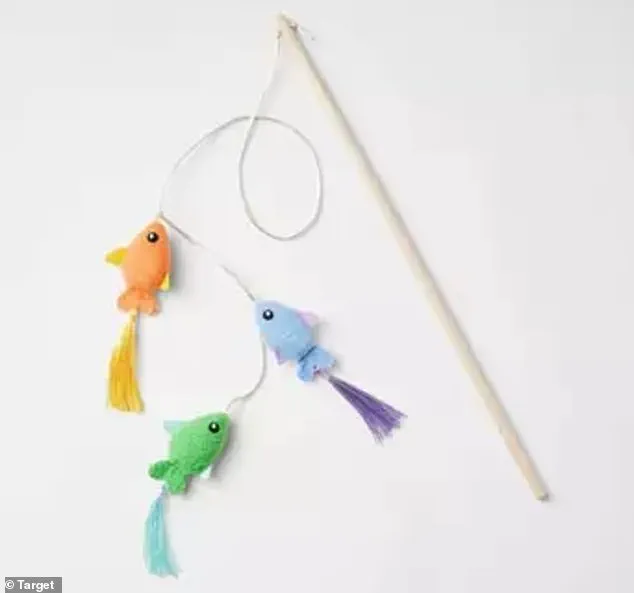 Hidden Dangers: The Fatal Flaw in a $4.39 Cat Toy That Led to a Feline's Death