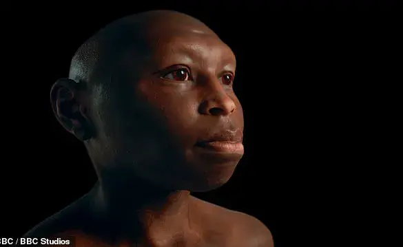 Human: A BBC Documentary Unveils the Forgotten Chapters of Our Shared Ancestry