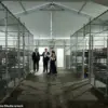 Insider Exposes Secret Conditions at Controversial 'Alligator Alcatraz' Detention Facility After Being Fired for TikTok Posts