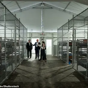 Insider Exposes Secret Conditions at Controversial 'Alligator Alcatraz' Detention Facility After Being Fired for TikTok Posts