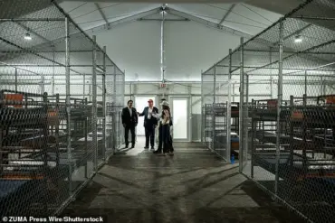 Insider Exposes Secret Conditions at Controversial 'Alligator Alcatraz' Detention Facility After Being Fired for TikTok Posts