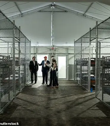 Insider Exposes Secret Conditions at Controversial 'Alligator Alcatraz' Detention Facility After Being Fired for TikTok Posts