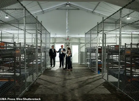 Insider Exposes Secret Conditions at Controversial 'Alligator Alcatraz' Detention Facility After Being Fired for TikTok Posts