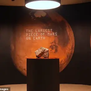 Late-Breaking: Largest Martian Meteorite Ever Found to Sell for £1.5-3 Million at Sotheby's This Week