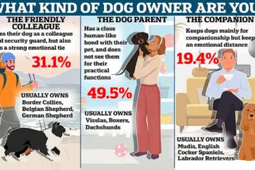 Late-Breaking Study Questions Long-Term Mental Health Benefits of Pet Adoption Amid Pandemic