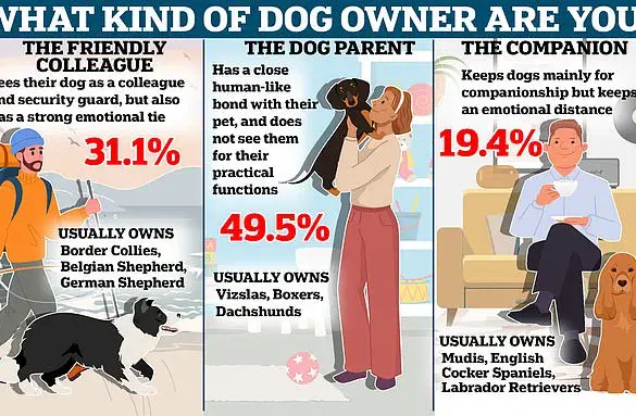 Late-Breaking Study Questions Long-Term Mental Health Benefits of Pet Adoption Amid Pandemic