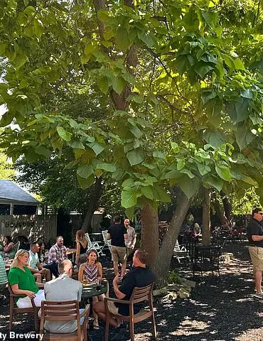 Limited Access: The Hidden Evolution of Breweries into Family-Friendly Third Spaces