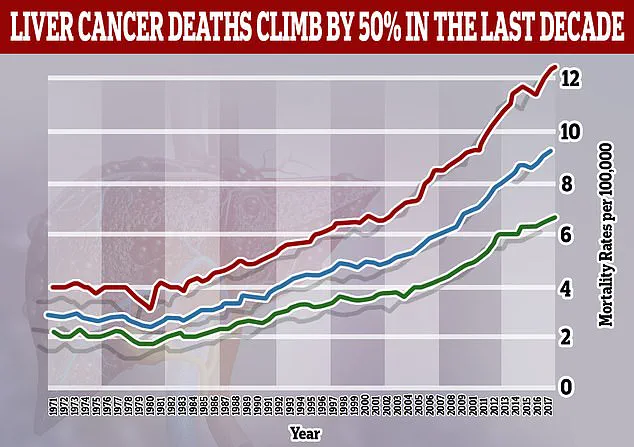 Liver Cancer Surge in Young Adults Sparks Urgent Need for Public Health Policy Responses
