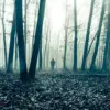 Mysterious Figure Spotted in Sierra Nevada Mountains Sparks Bigfoot Debate