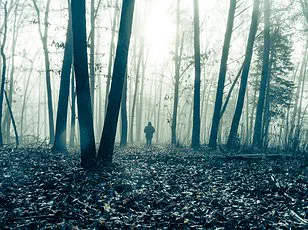 Mysterious Figure Spotted in Sierra Nevada Mountains Sparks Bigfoot Debate