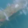 New Claims Spark Renewed Interest in Atlantis's Existence